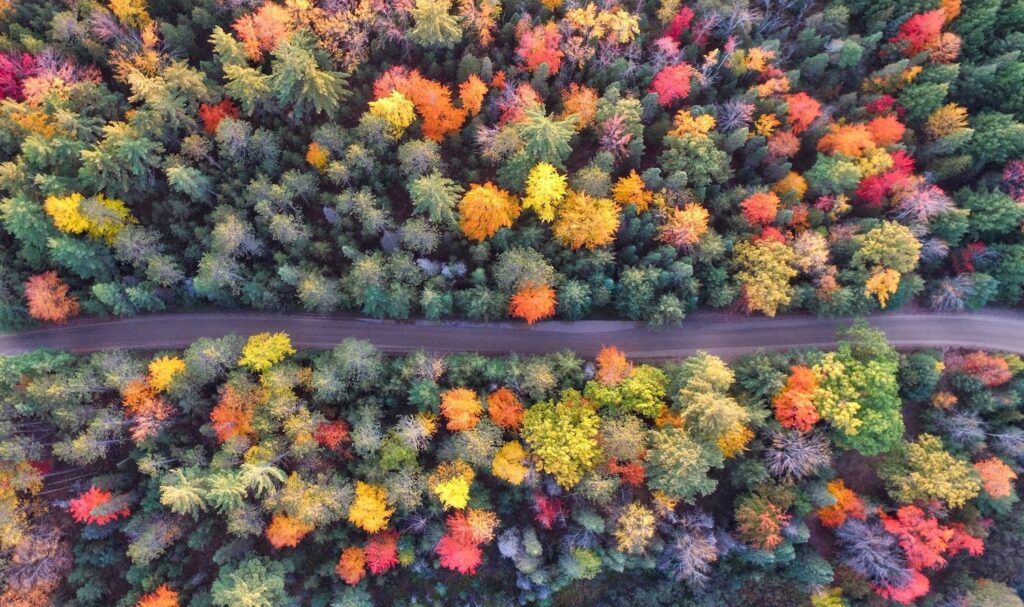 road