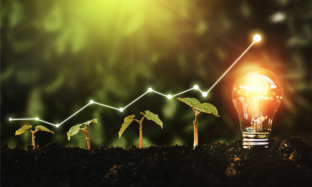 Common Questions and Answers About Socially Responsible Investing