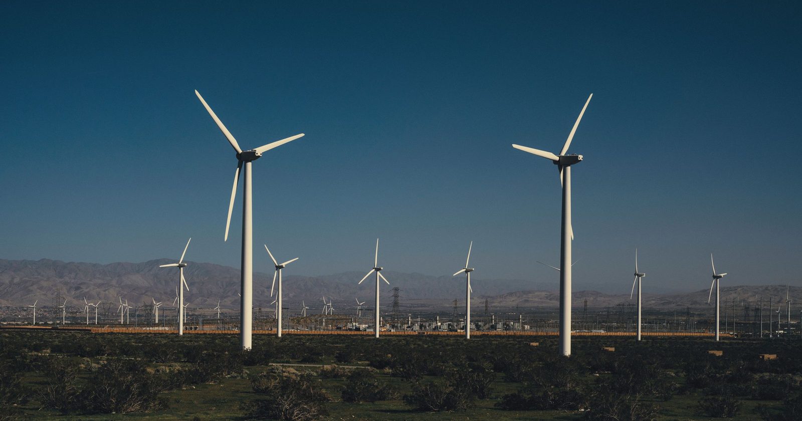 How to Vet ESG Fixed-Income Funds Beyond the Green Label